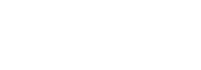 Roland-berger-logo-w